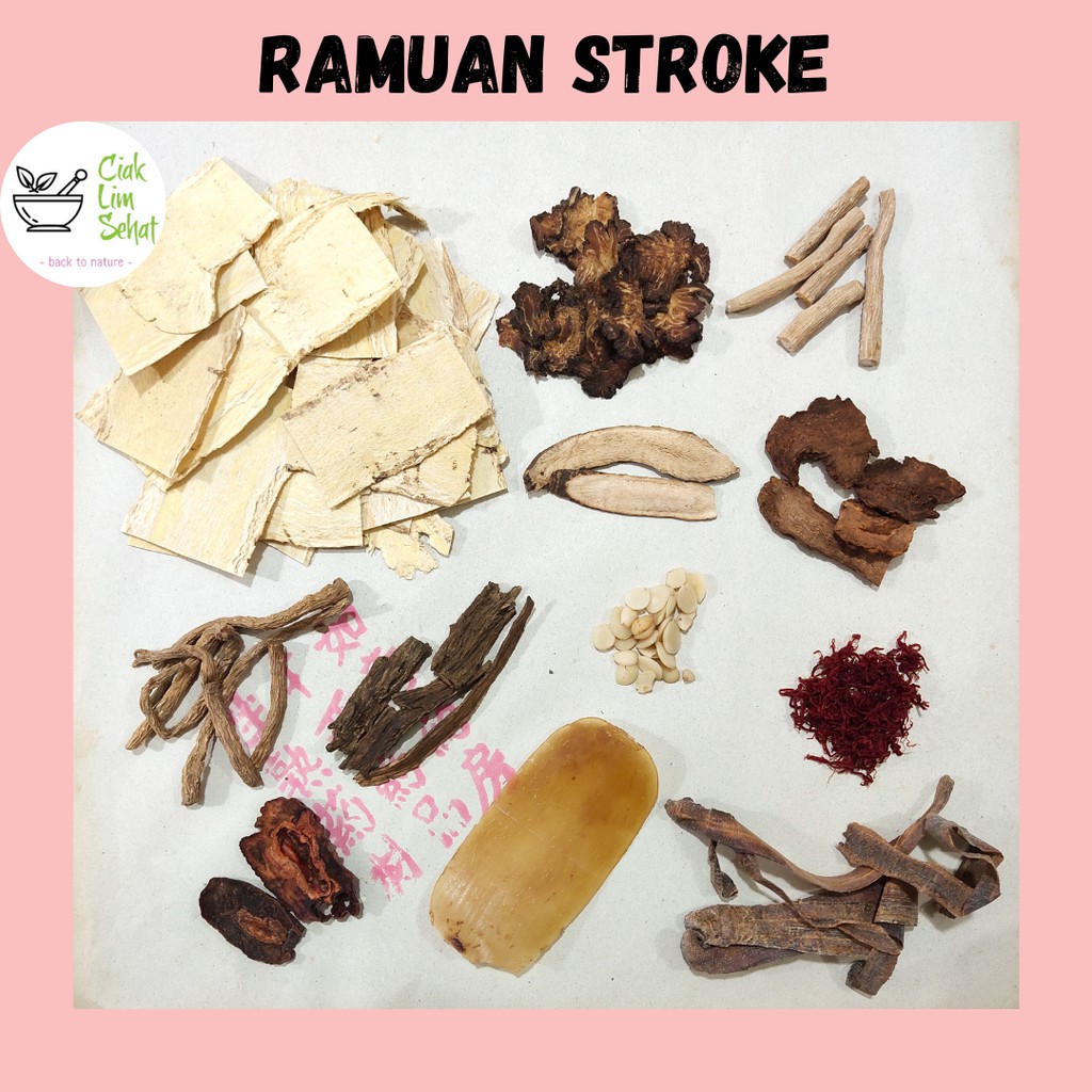 

Ramuan Herbal untuk Stroke (Premium)
