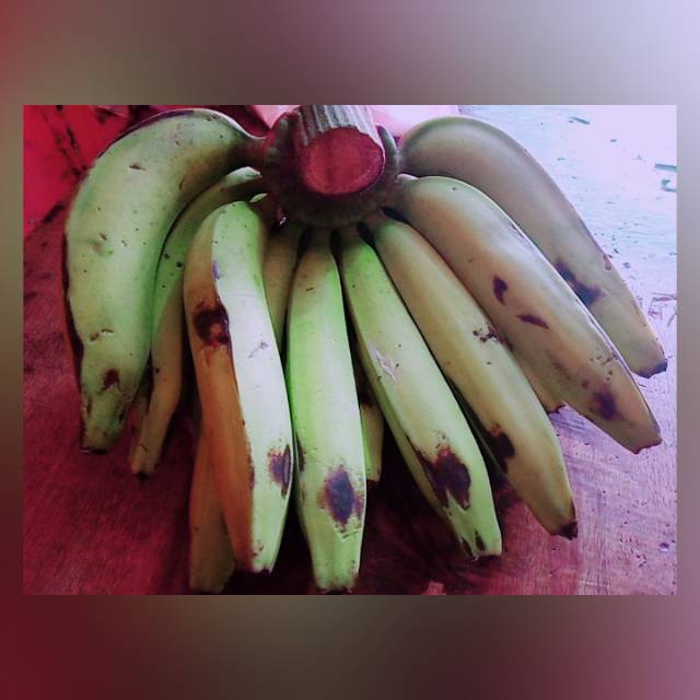 

1 sisir Pisang ambon super