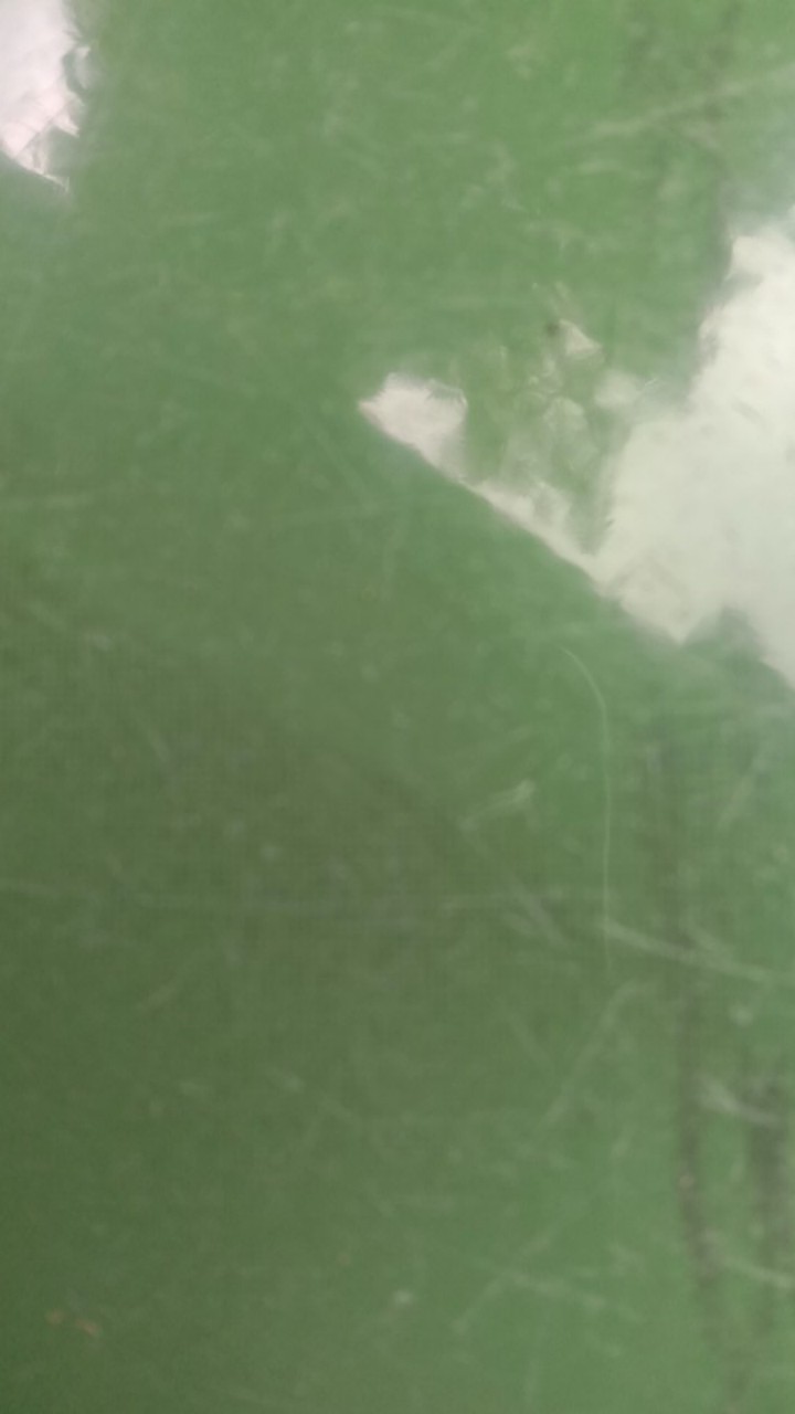 Gamis Brukat Baju Muslim Gaun Pakaian Wanita Kebaya Batik Quenby Gamis Modern