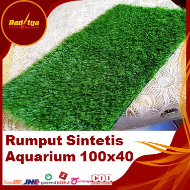 Rumput Dasar Aquarium Ukuran 100x40 Type Swiss Buat Aquascape Dari Raditya Desain Art