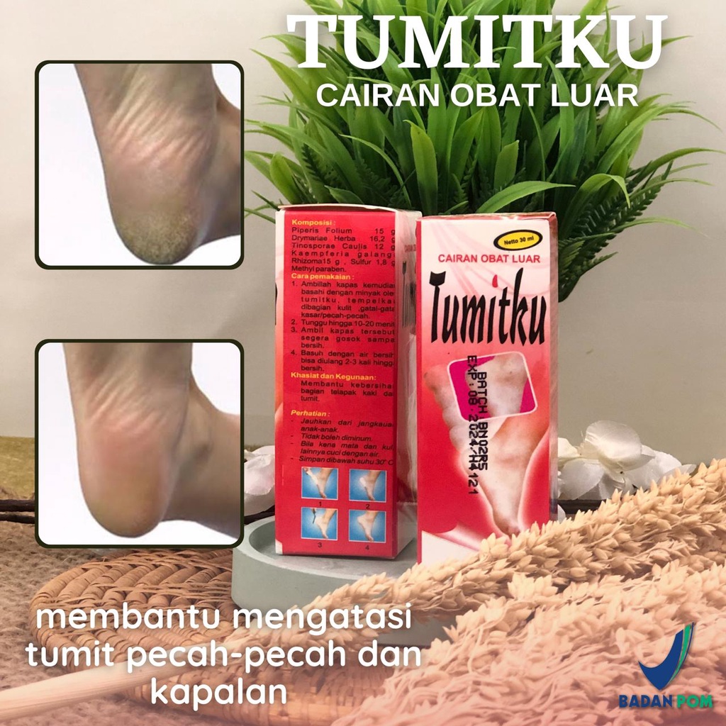 Tokocantik Tumitku  Obat Penghalus Tumit Obat Kadas Kurap Obat Herbal