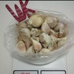 

Bawang Putih