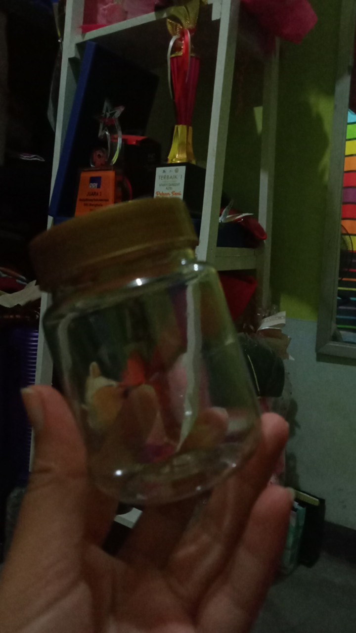 Toples 200 Ml Bulet Tanpa Tutup Dalem