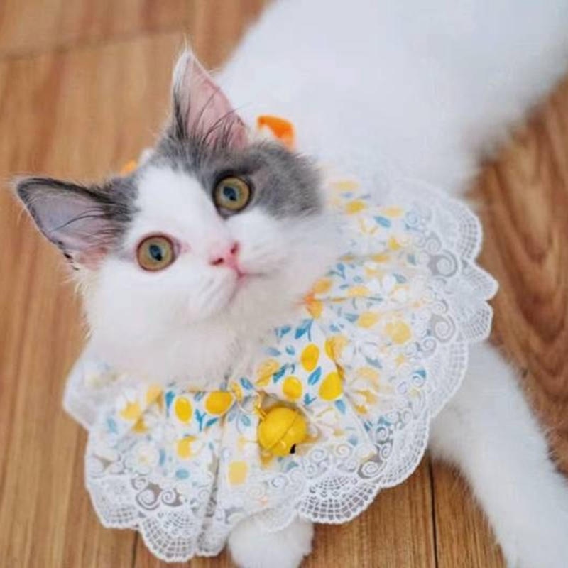 Kalung Leher Anjing / Kucing Peliharaan Bahan Lace Motif Bunga Untuk Musim Panas