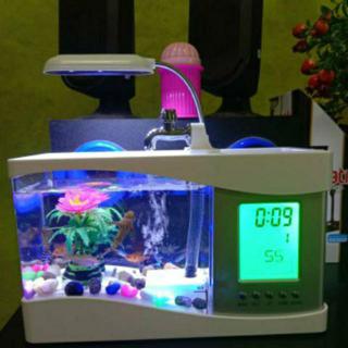 Betta Fish Tank Aquarium Mini Akrilik Mini Aquascape Aquascape Acrylic Mini Aquarium Akrilik Cnr Shopee Indonesia