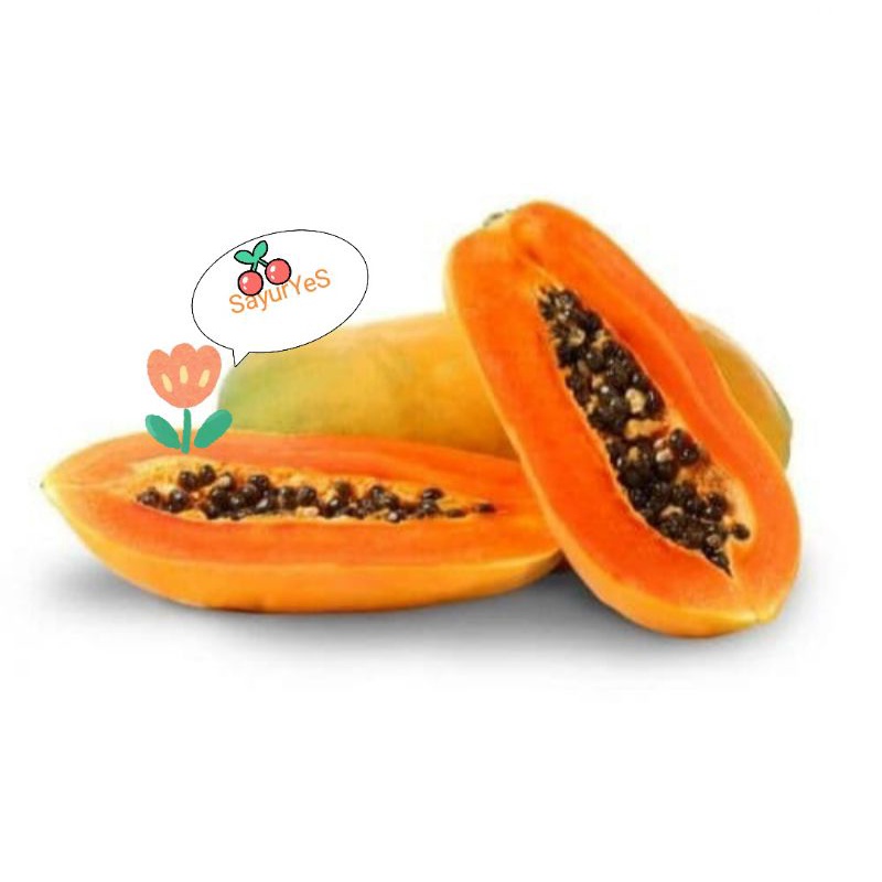 

PEPAYA CALIFORNIA MANIS 1 BUAH BANDUNG