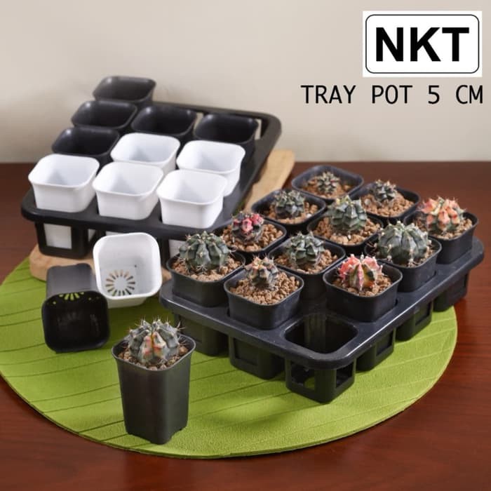 Jual Tray pot kotak 5 cm (tanpa pot) | Pot kotak 5 cm Berkualitas
