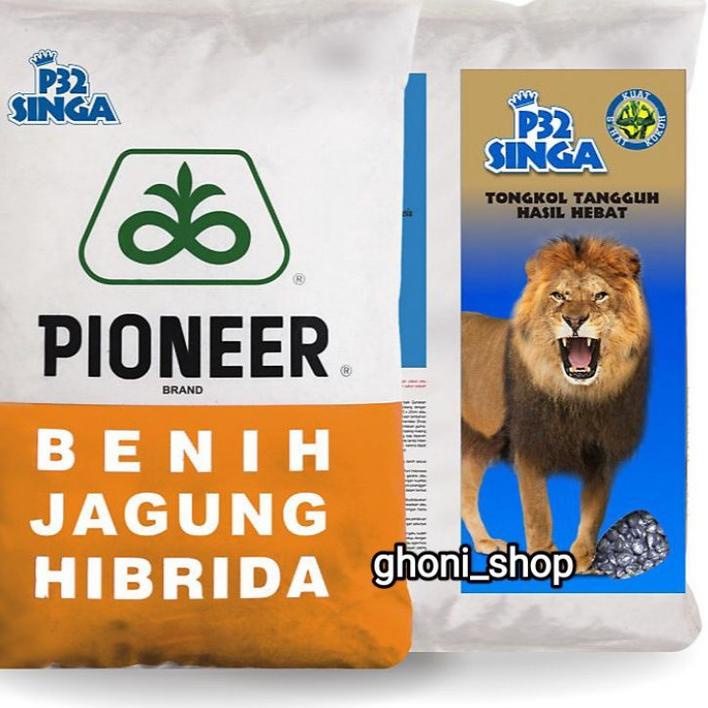 (TERPERCAYA) Benih jagung pioneer P32 singan