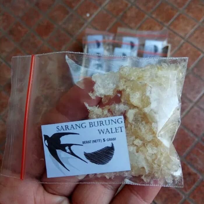 

Sarang Burung Walet 10gr grosir