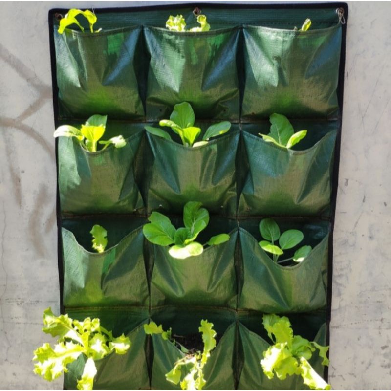wall planter bag pot dinding 15 kantong