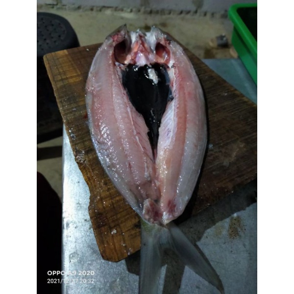 

Ikan Bandeng Tanpa Duri