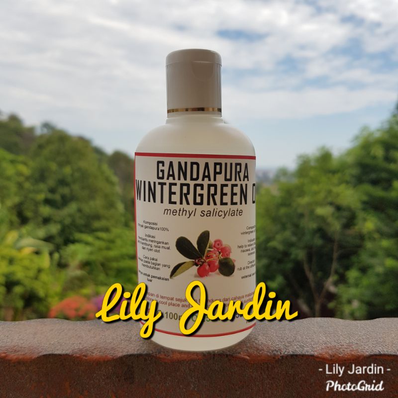 Jual Minyak Gandapura / Wintergreen Oil MURNI 1 Lt Shopee Indonesia