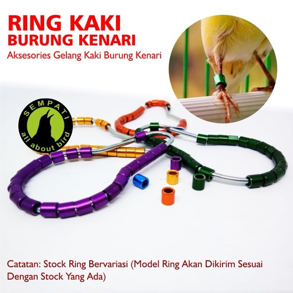 Alat Koreksi Kuku Jempol Kaki Untuk Pedicure Shopee Indonesia