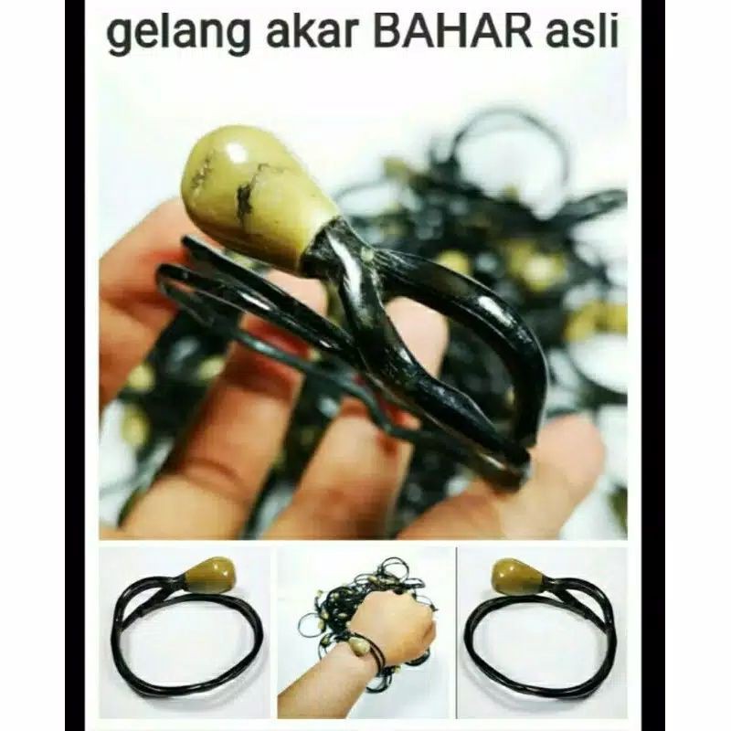 GELANG AKAR BAHAR PLUS BONGGOL ASLI DARI ALAM MADURA.