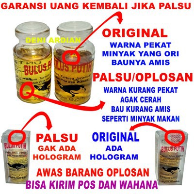 Bayar Di Tempat Minyak Bulus Putih Original Pembesar Payudara Shopee Indonesia