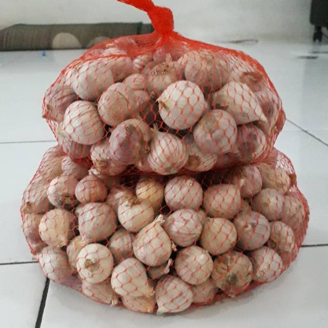Bawang tunggal 1 kg bawang lanang import kulit putih | Shopee Indonesia