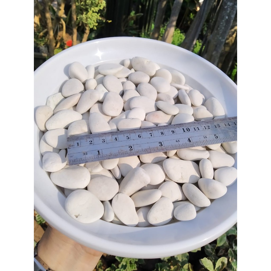 Batu Koral Putih ukuran A1 1 kg / batu kecil / batu taman