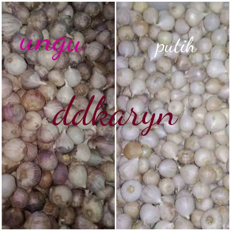 Manfaat Bawang Putih Untuk Vitalitas Pria