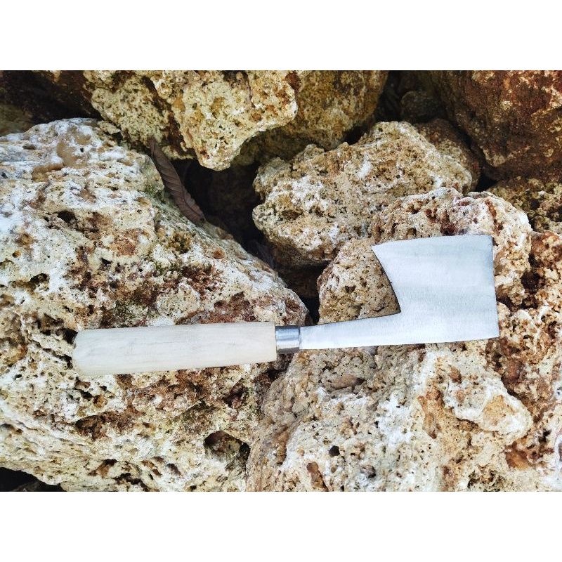 Kapak Kupas Kelapa / Batok kelapa tajam