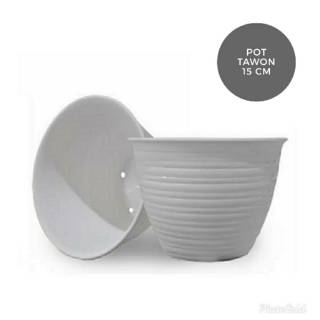  Pot  Bunga Plastik  Model  Tawon 15 cm Putih  Shopee Indonesia