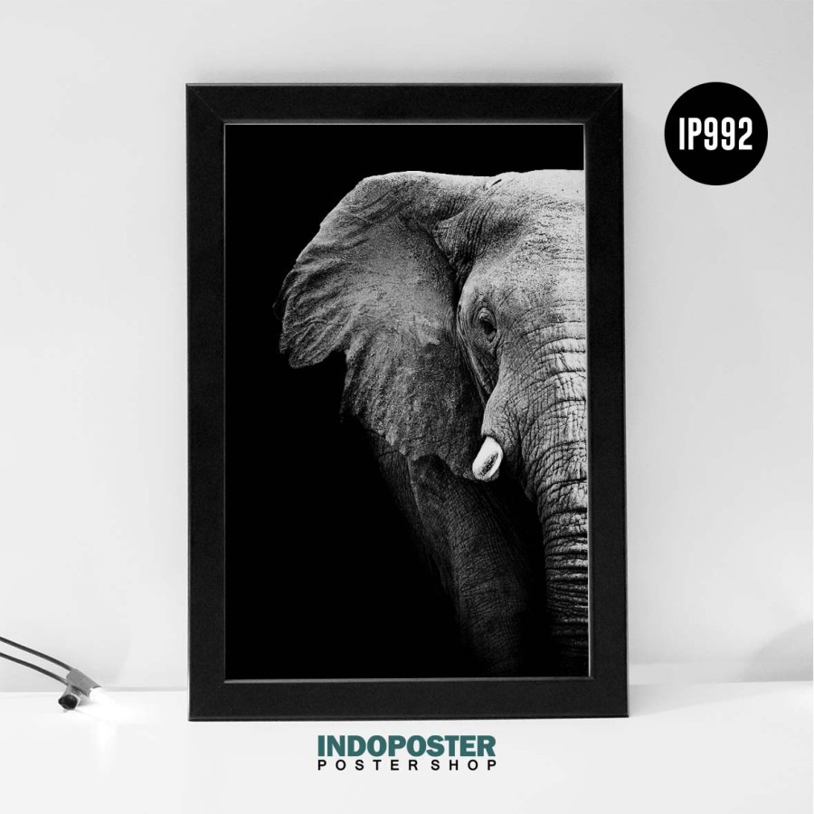 Poster Hewan Binatang Elephant Gajah Aesthetic B/W Hitam Putih Aesthetic