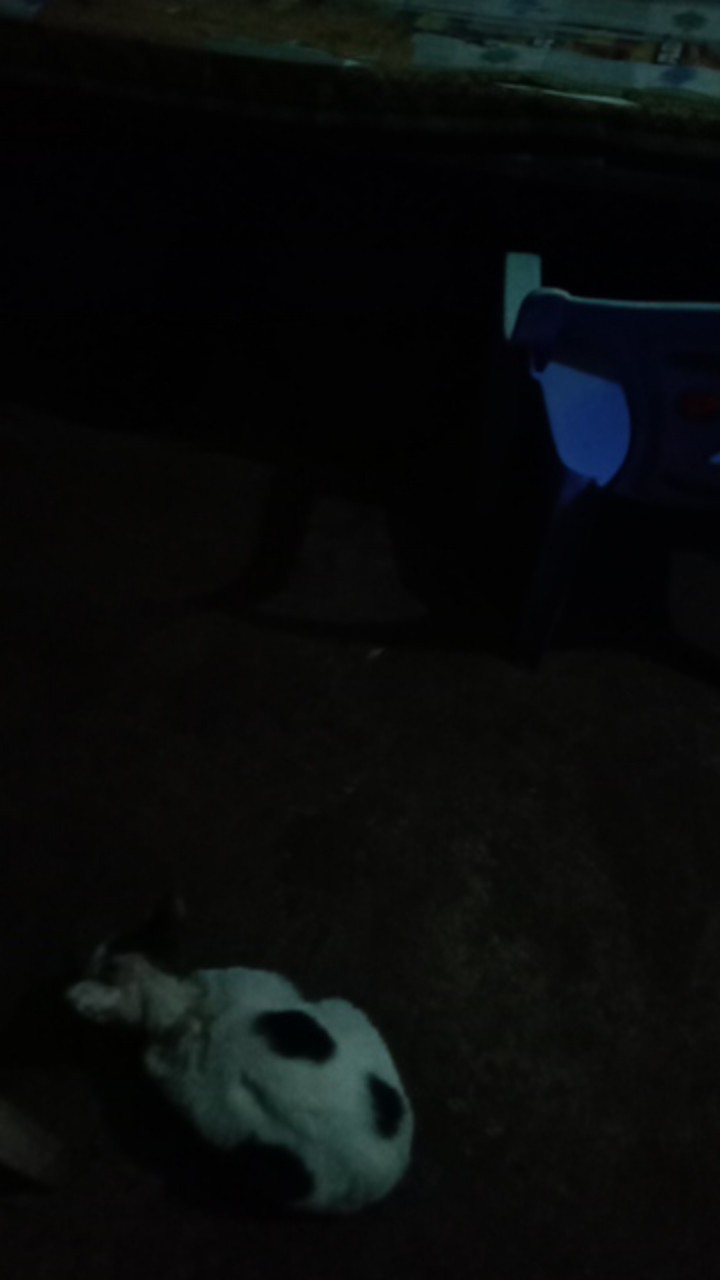 Mahkota Pendek Kemeja Batik Pria Full Furing Bahan Katun Halus Primisima