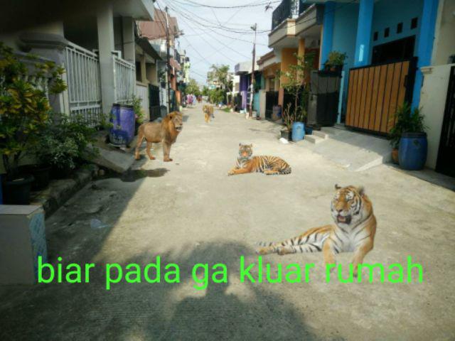 Racun Obat Tikus Ramtus Racun Tikus Ampuh Mati Kering Perangkap Pengusir Jebakan Tikus Massal Rt2