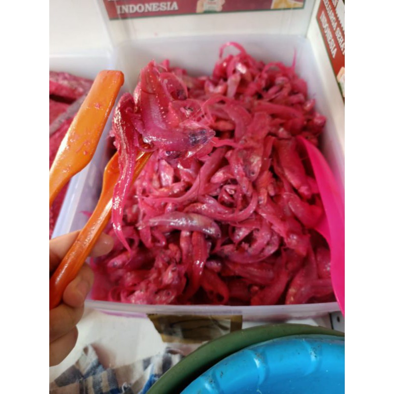 

(200gr) Fermentasi Ikan Bulu Ayam / Fu Mui Koi / Fung Mui Koi / Pedak Ikan Bilis Bulu Ayam-Padak Ikan Bilis