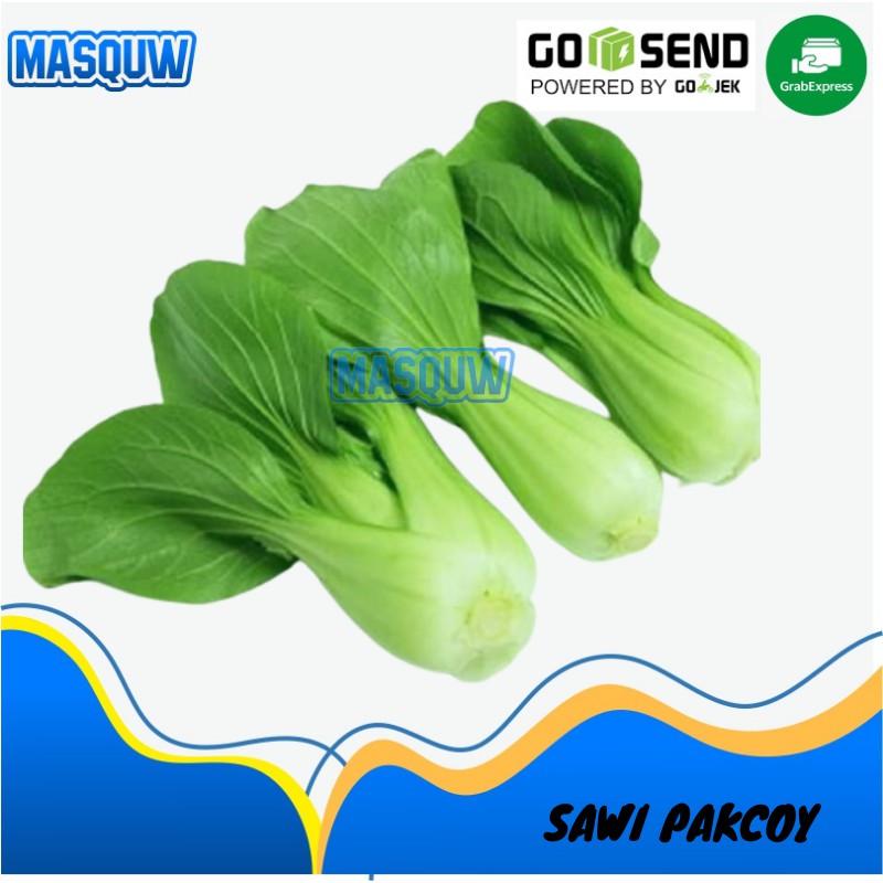 

TERMURAH SAWI DAGING PAKCOY POKCOY 250GR SAYUR SAYURAN SEGAR MASQUW