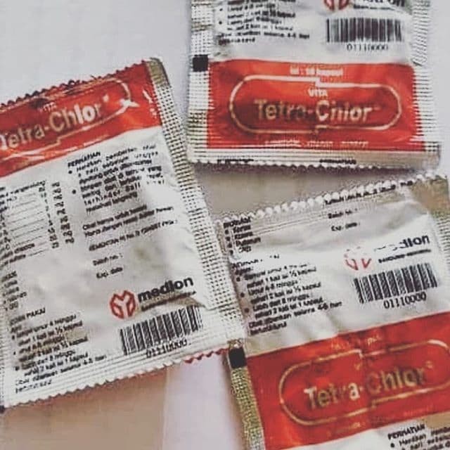 TETRA CHLOR Sachet 10 Kapsul - Antibiotik