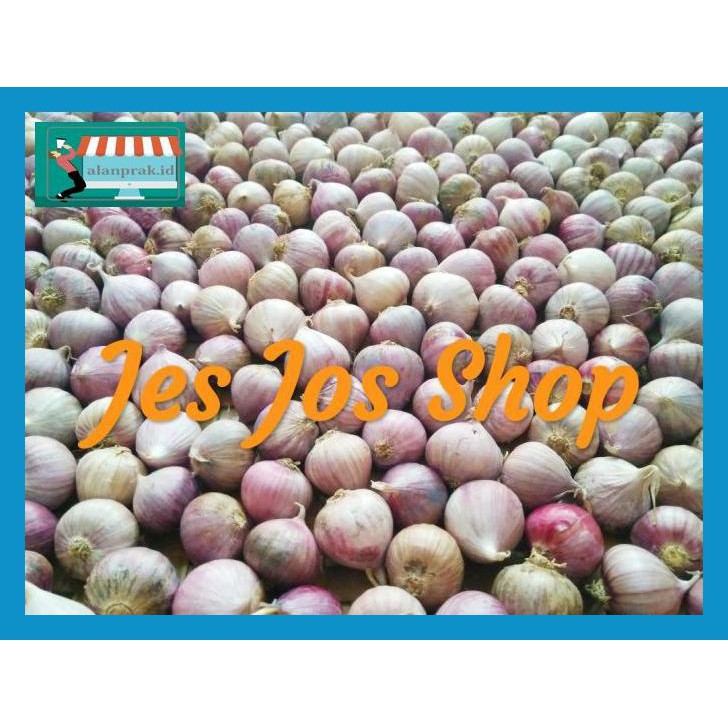 

6Rg5T7T- Bawang Putih Tunggal 500 Gram Te5Ts56-