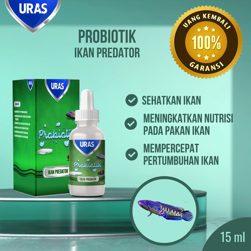 Vitamin Probiotik Obat Ikan Predator Oscar Tiger Channa Arwana P Bass Silver Golden Red Albino Blue 