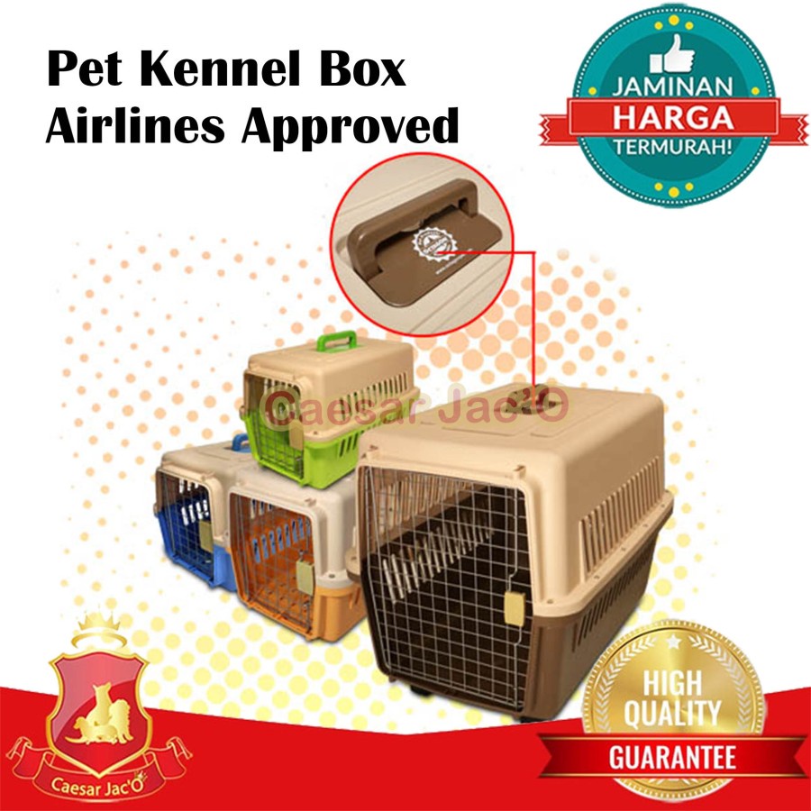 Kennel Box Pet Cargo KN-1020 Octagon Hewan Anjing Kucing