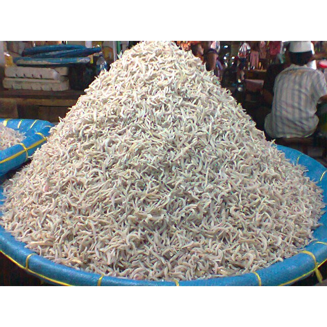 

Ikan Teri Rebus