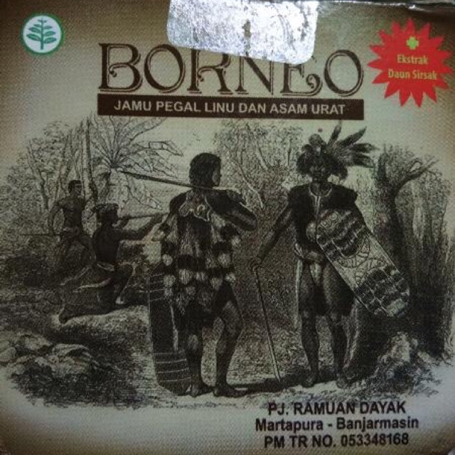 Obat rematik asam urat pegal linu borneo herbal setara biocypress