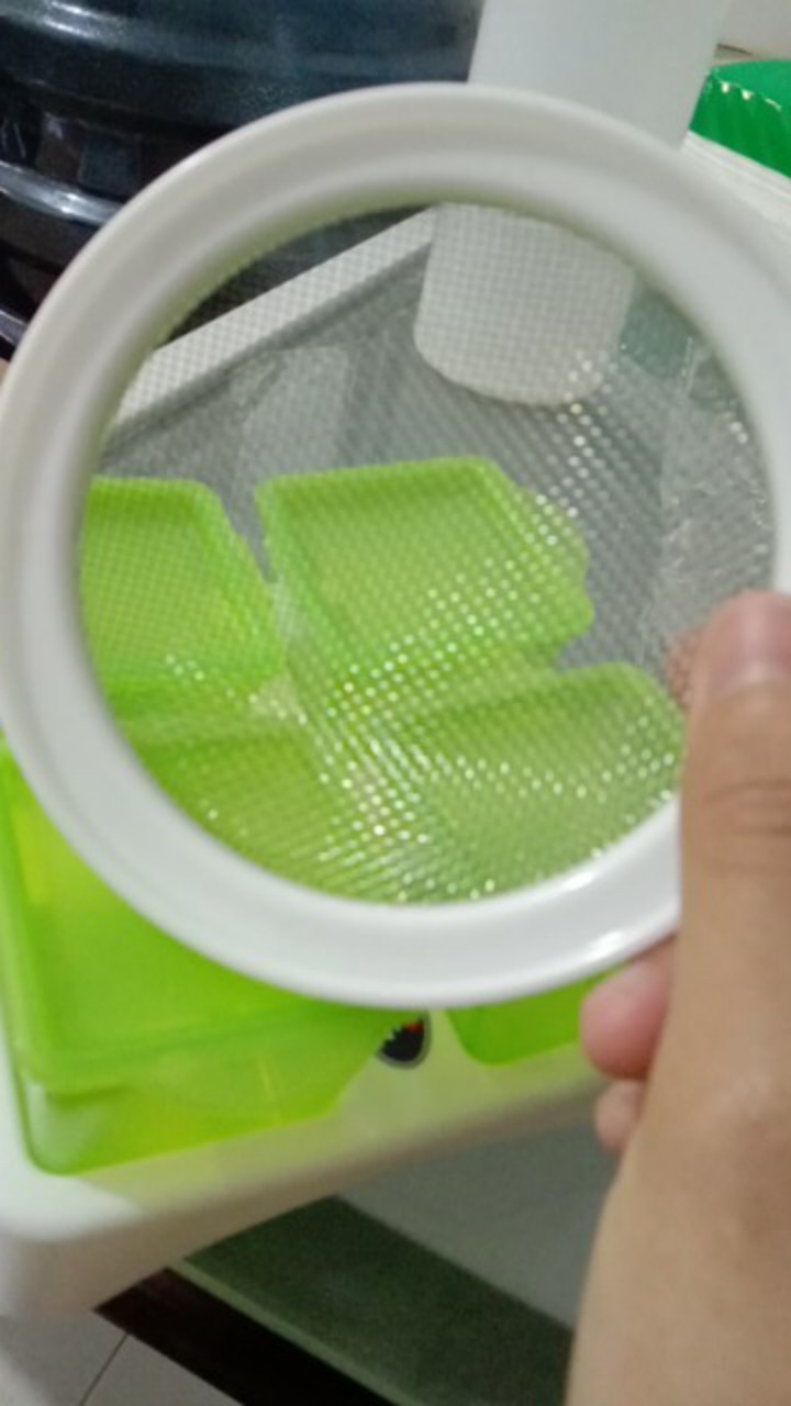 Lustybunny Saringan