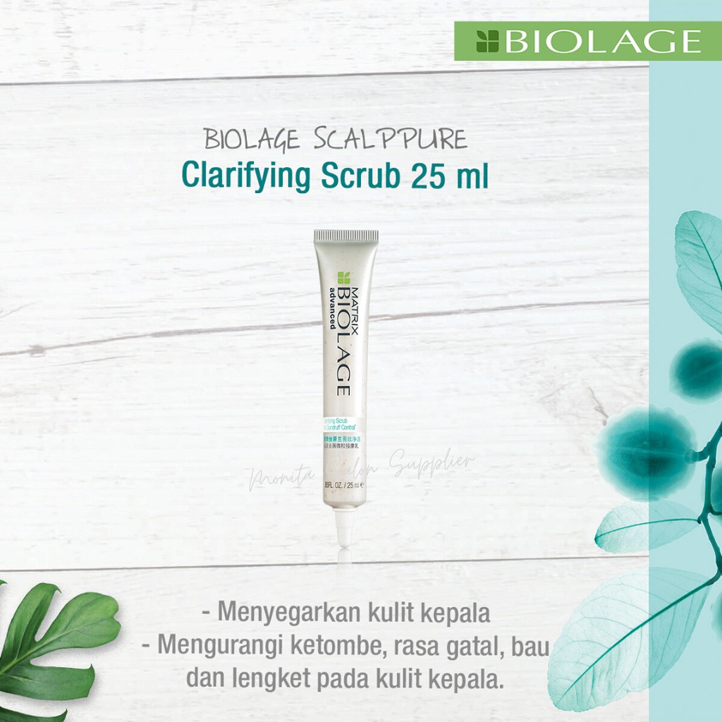 MATRIX BIOLAGE SCALPPURE CLARIFYING SCRUB