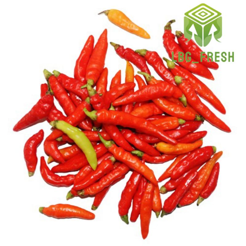 

Cabai Rawit Merah 500 gr