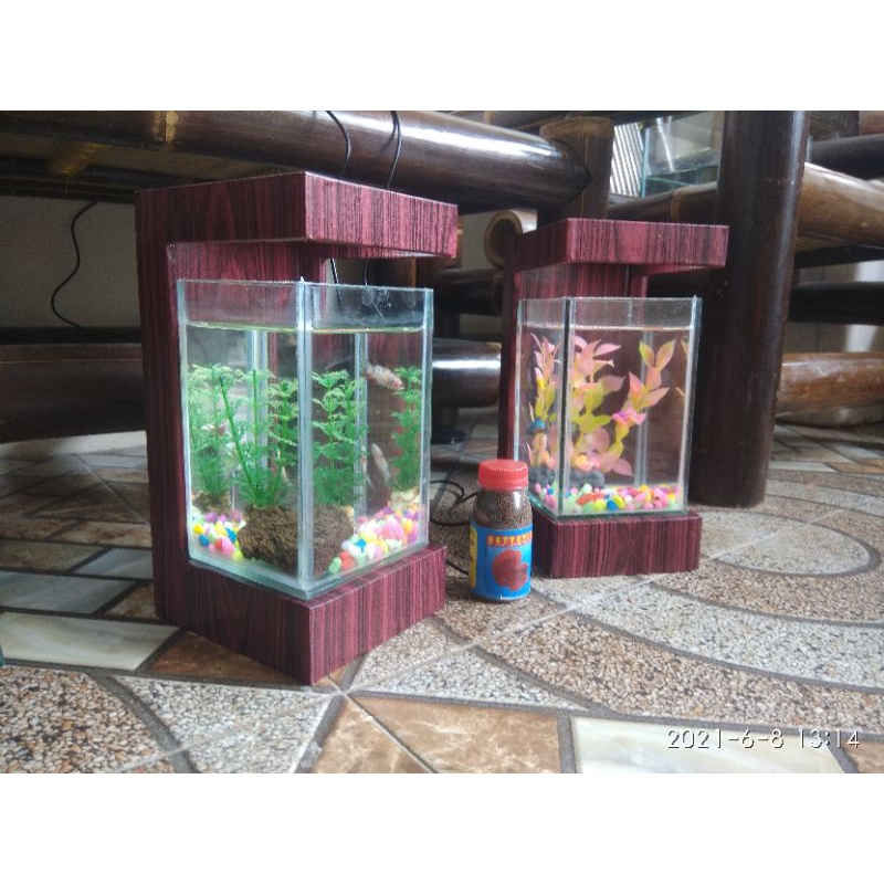 soliter mini, akuarium cupang mini, akuarium mini, akuarium ikan hias mini