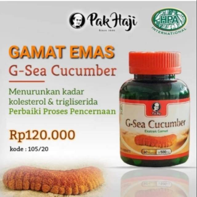 GAMAT GOLD - G SEA CUCUMBER HPA