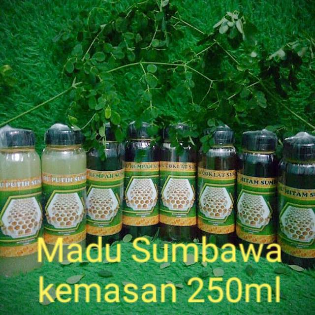 

Madu Putih Sumbawa Asli 250ml