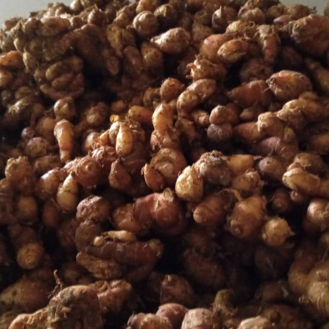 

Kencur 1kg