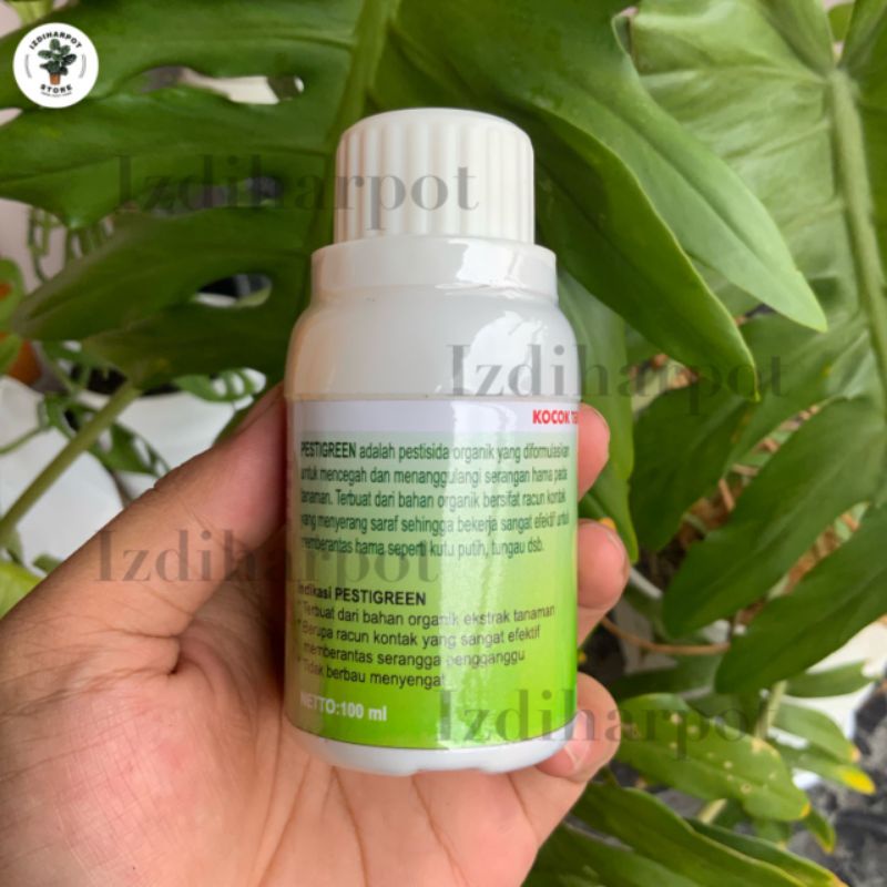 pestisida organik PESTIGREEN 100 ML - pembasmi hama kutu putih daun