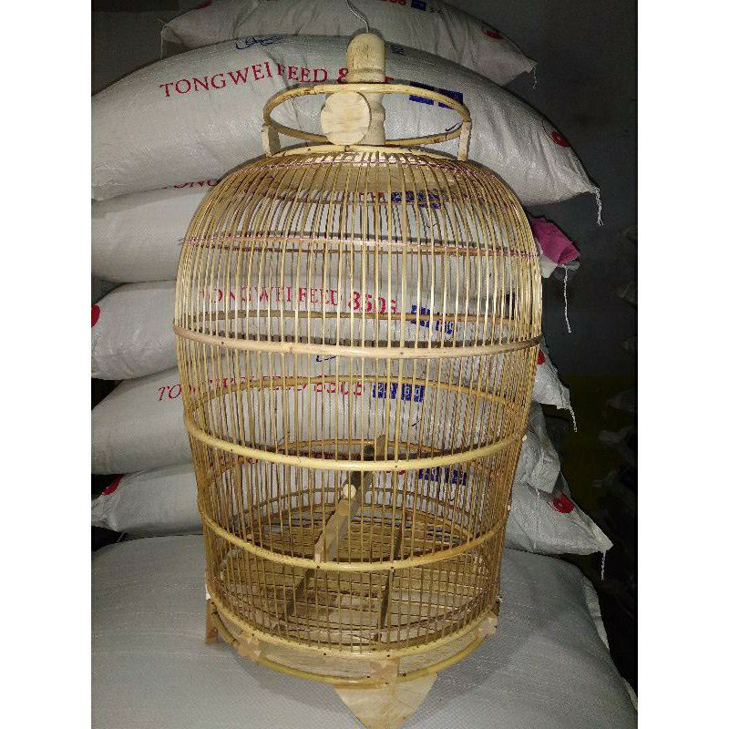 kandang burung perkutut polosan