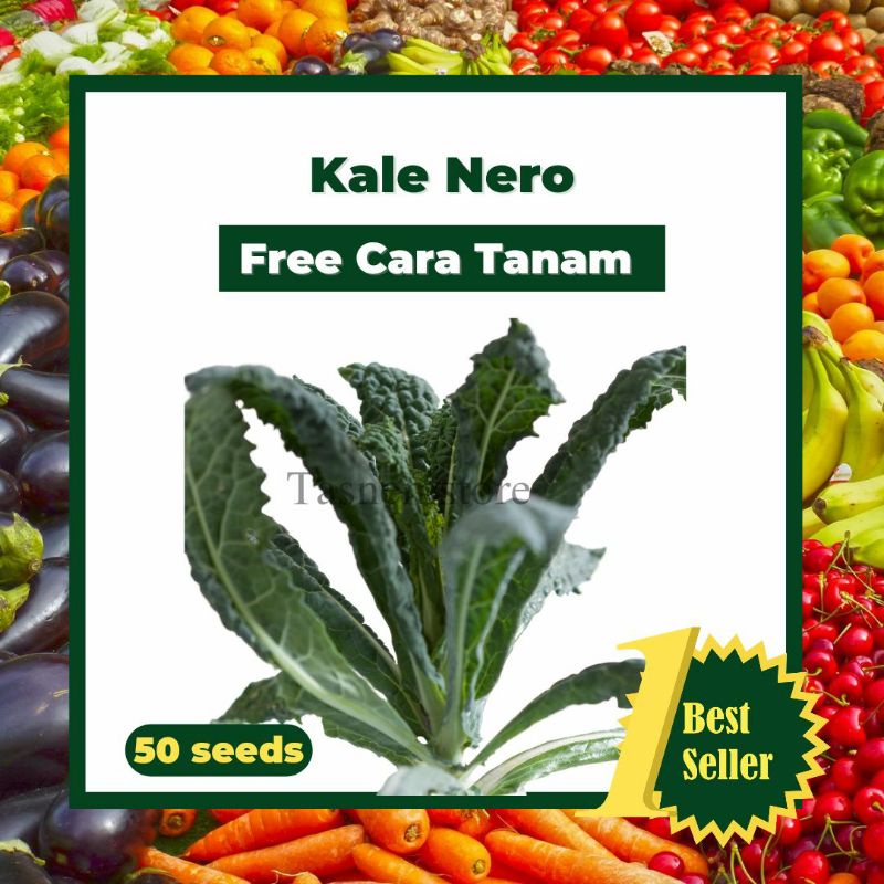 Biji Benih Bibit Tanaman Sayur Sayuran Kale Nero Hidroponik Siap Tanam 50 biji