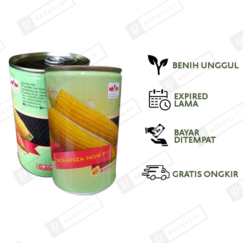 COD Bonanza Now F1 Benih Jagung Manis Kaleng 1800 Butir