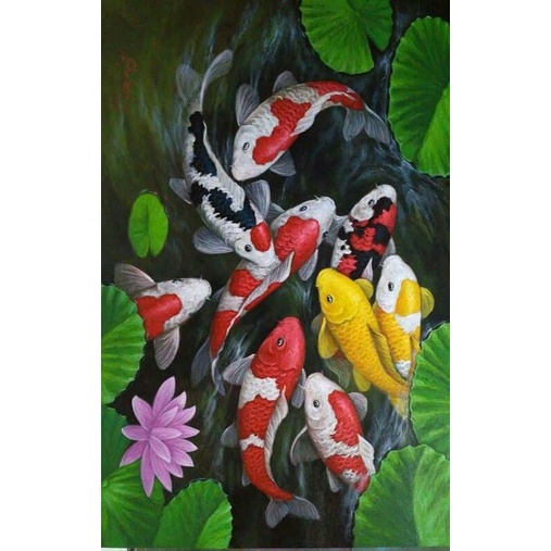 Hiasan Dinding Cetak gambar plus bingkai ikan koi ukuran 35x52cm