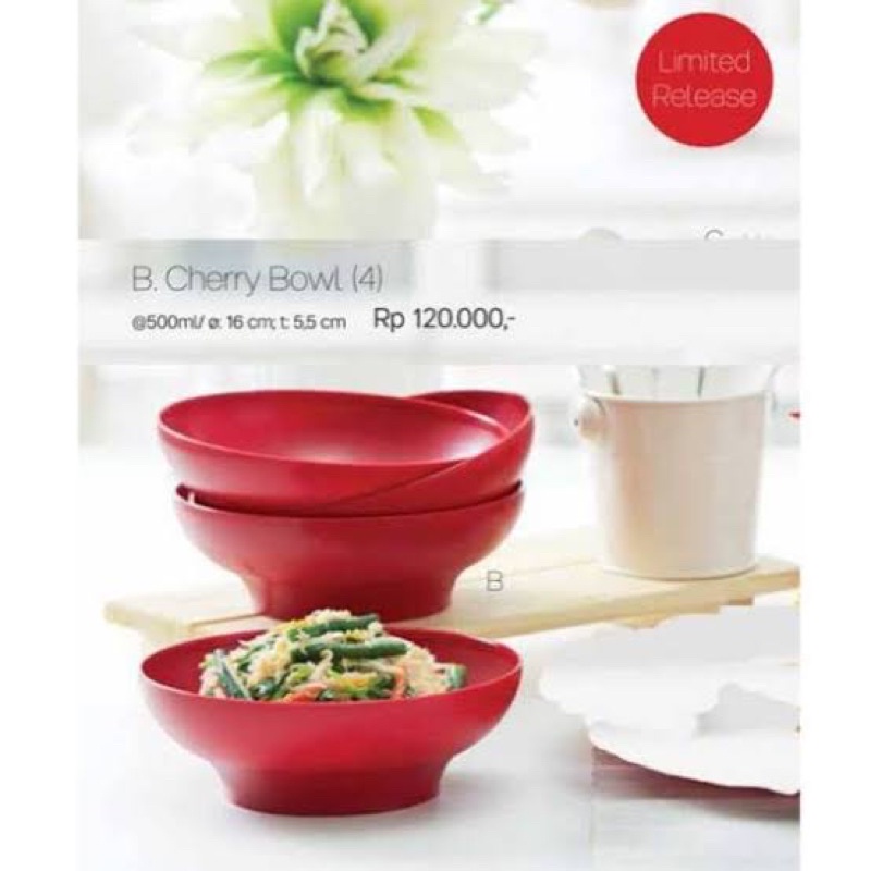 TUPPERWARE IDEAL BOWL (4)