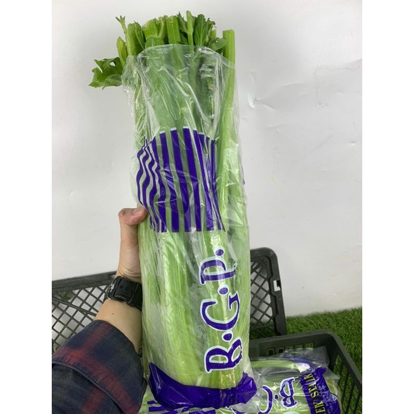 

celery stick RRC | seledri import fresh | 1 kg