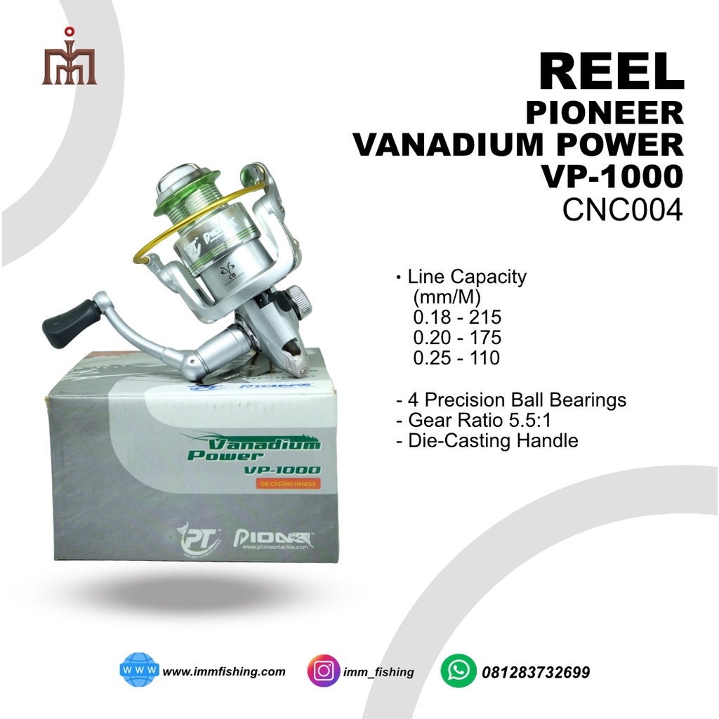 REEL PIONEER VANADIUM POWER